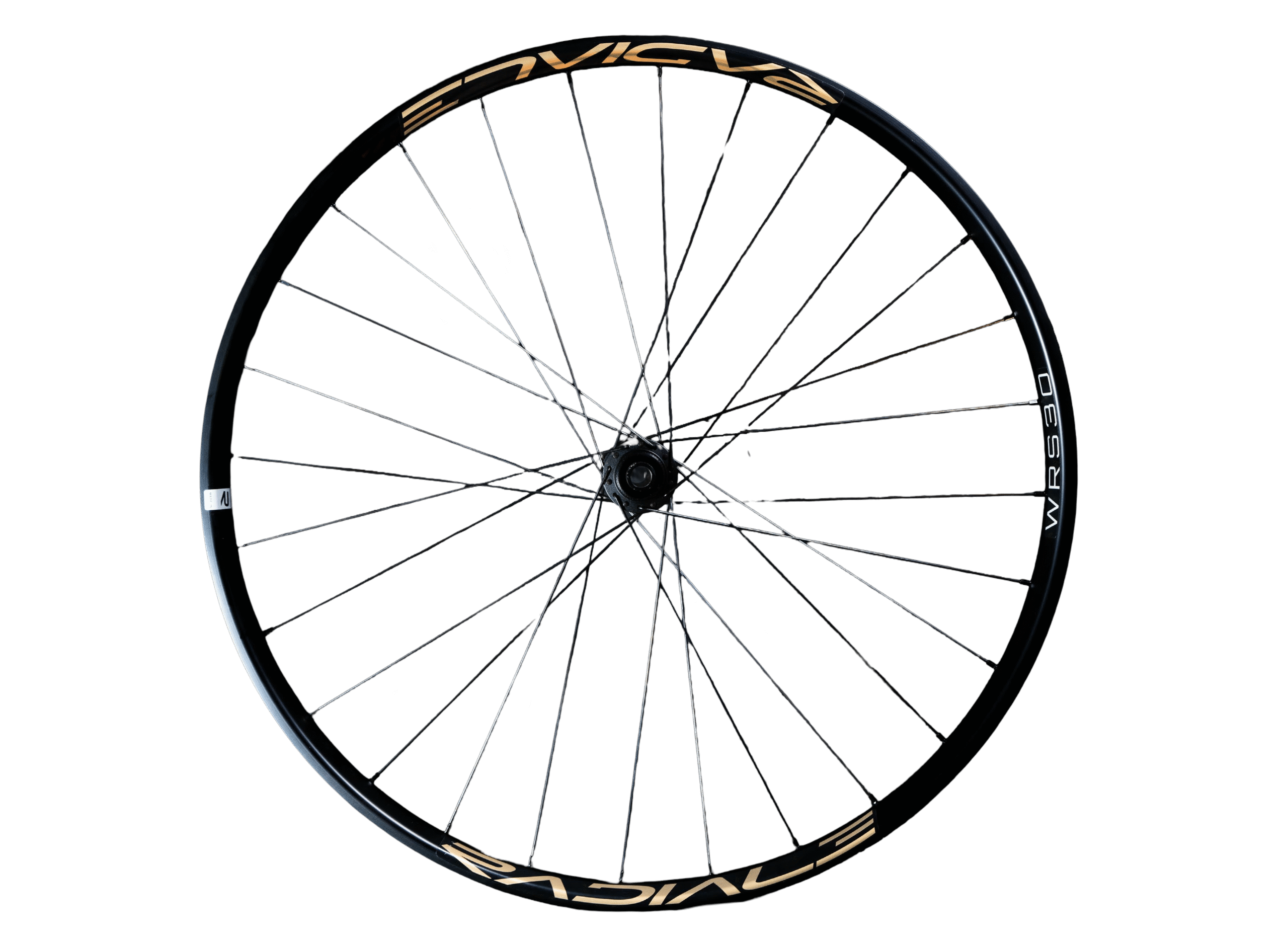 radiale-ruota-homepage